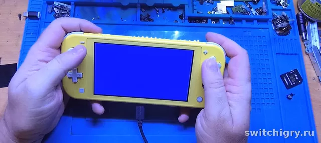 Какие поломки чаще всего встречаются у Switch Lite на вторичке