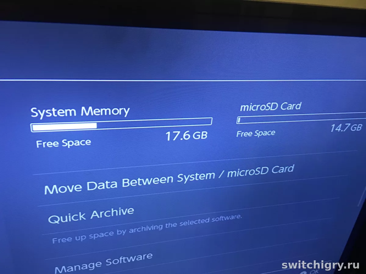 «Недостаточно места», хотя карта памяти пустая на Nintendo Switch